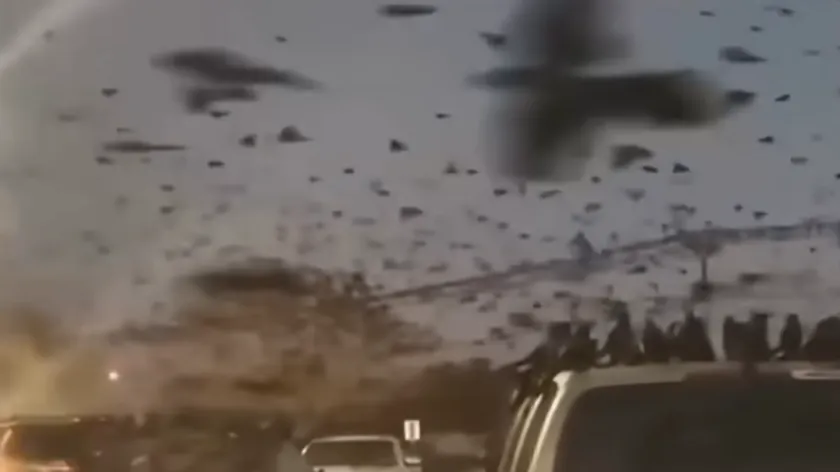 İsrail semalarında binlerce karga görüldü, çatışmalar arasında kehanet endişesi yaşanıyor.