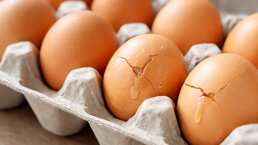 Çatlak Yumurta Kabukları Gıda Zehirlenmesi Riski Taşıyor Uzmanlar Tüketicileri Uyarıyor