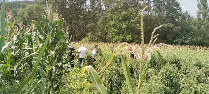 Niğde'de 82 yaşındaki adam, 80 yaşındaki komşusunu öldürdü