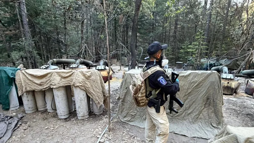 Meksika'da uyuşturucu operasyonu sonrası trafik kazasında dört kişi hayatını kaybetti