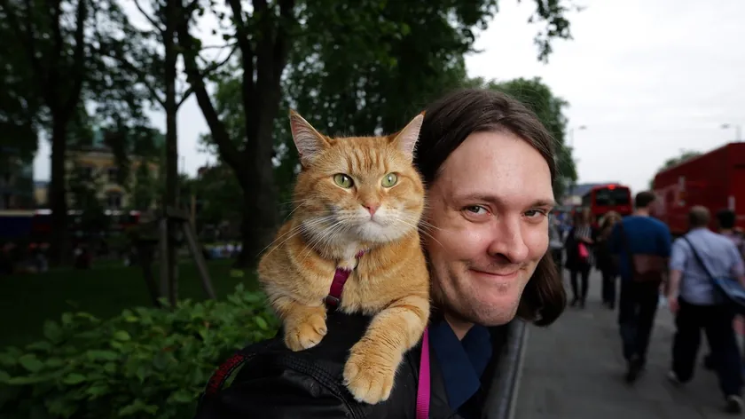 Londra'da sokak kedisi, bağımlılıkla mücadele eden müzisyenin hayatını baştan sona dönüştürdü