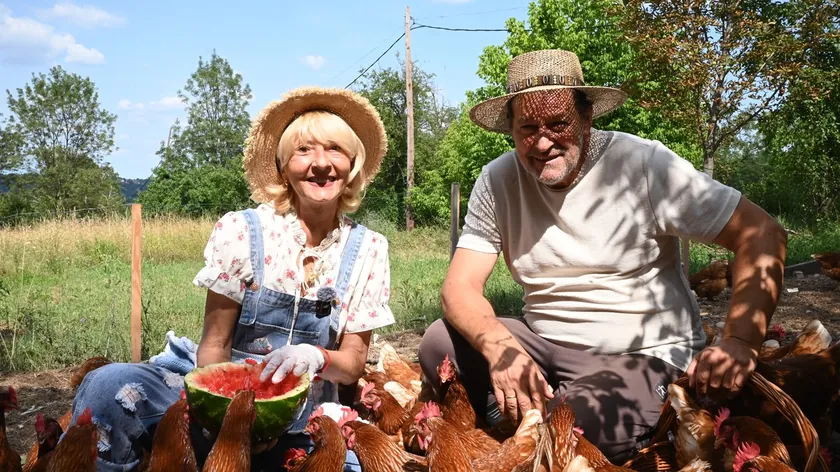 Sırbistan'da çift Nataša ve Saša Francisti, şehir hayatından uzaklaşarak bir çiftlik yaşamına geçtiler.