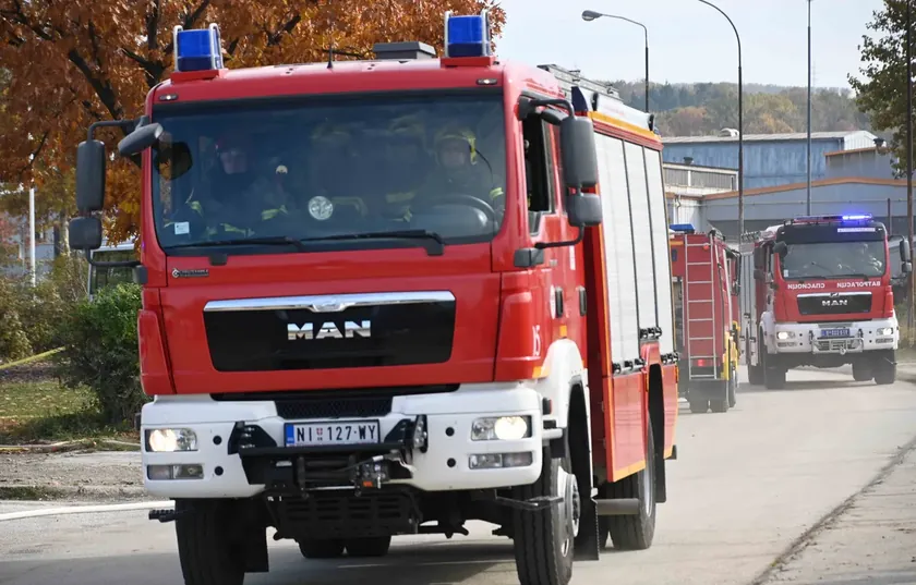 Sırbistan'ın Novi Sad kentinde ev yangını: İtfaiye ekipleri alevleri söndürüp köpek yavrularını kurtardı