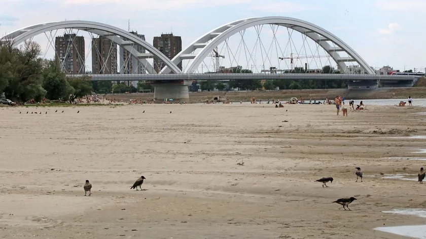 Sırbistan'da Dunav Nehri'nin suş nedeniyle tarihi düşük seviyede olması.