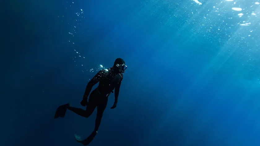 Alaska Körfezi'nde bulunan 'altın yumurta' bilim insanlarını şaşırttı gizem çözüldü