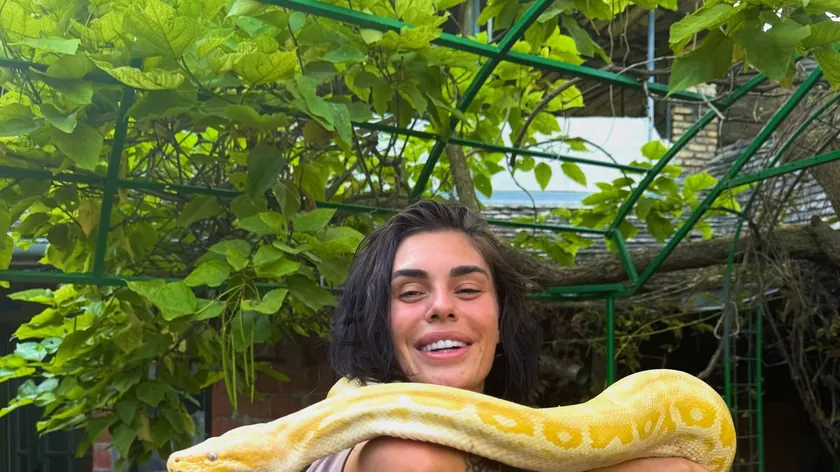 Mina Vrbaški, Zmiyaların Arasına Girdi