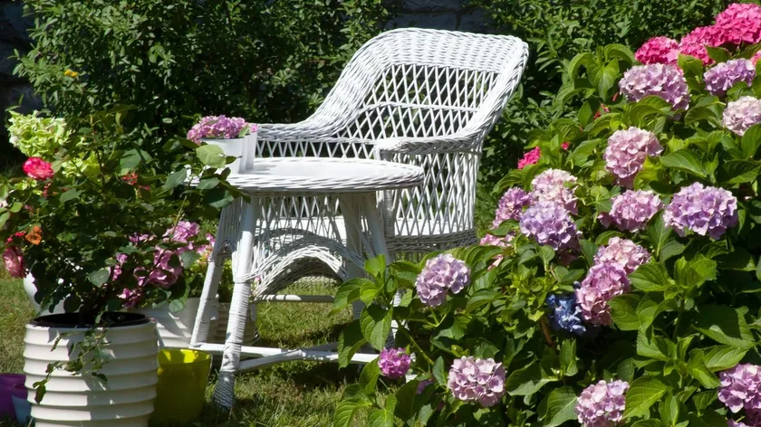 Sırbistan'dan Gelen Uzmanlar Ortanca Budama Hatalarına Karşı Uyardı