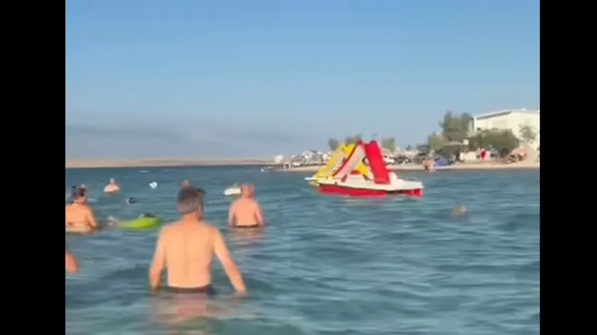 Hırvatistan'da bir plajda köpek yüzmesi turistleri kızdırdı.