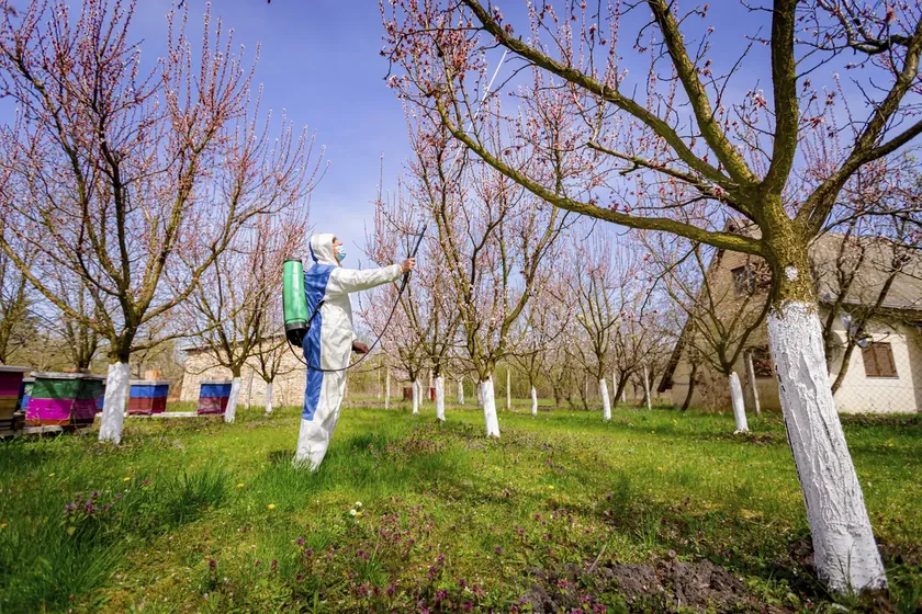 Sırbistan'da meyve bahçelerinde hastalık ve zararlılarla mücadelede erken önlemlerin önemi vurgulandı