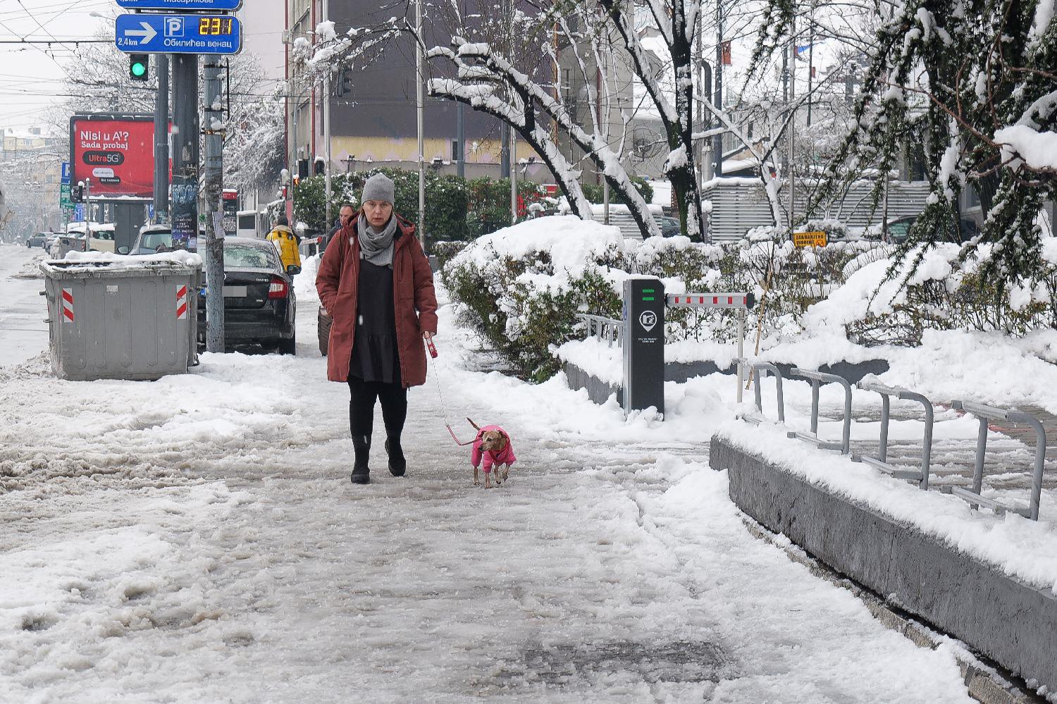 Beograd'da Kar ve Buz Üzerinde Kayak Keyfi