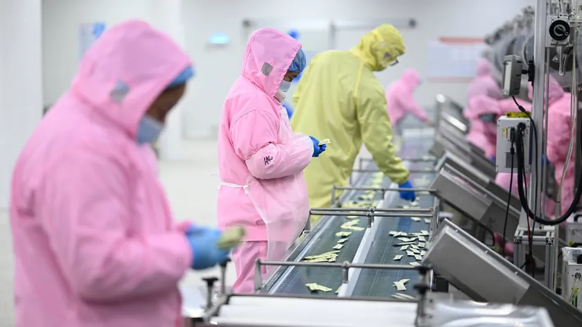 Evcil Hayvan Maması Piyasası Evrupa ve Sırbistan'da Büyük Bir Potansiyel Taşıyor