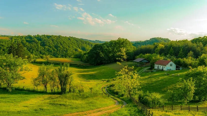 Sırbistan'da Kırsal Ev Doğa İçinde Uygun Fiyata Satışa Sunuldu