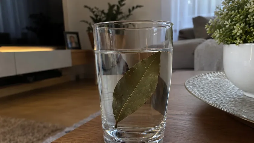 Lovor yapraklarını bir su bardağına koyun ve evinizdeki buraya yerleştirin Feng Shui'nin evinizden negatif enerjiyi uzaklaştırdığını iddia ediyor.