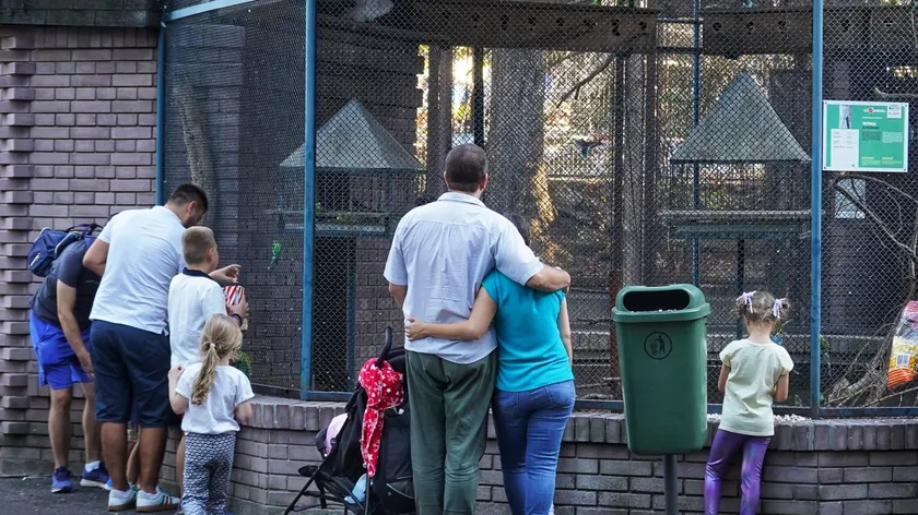 Hırvatistan Zagreb Hayvanat Bahçesi Fırtına Sonrası İki Yeni Kurt Üyesine Kavuştu