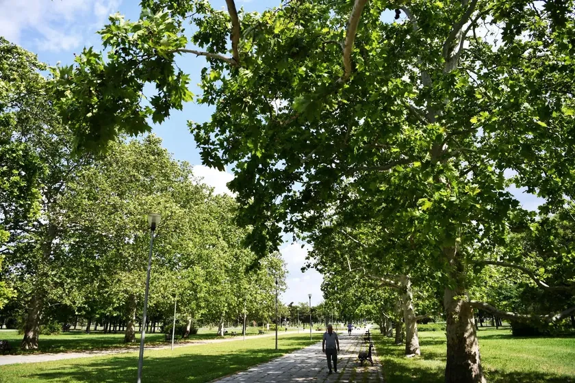 Sırbistan'ın başkenti Belgrad'daki Dostluk Parkı'nda akvaryum projesi keşif çalışmaları başladı.