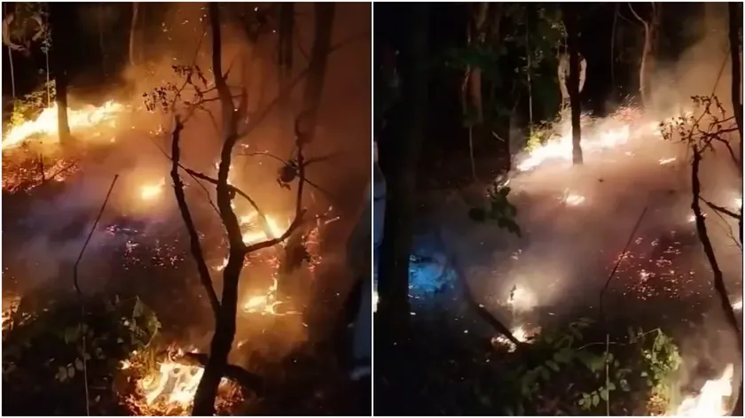 Suva Planina'da yangın, ateş planın boyunca yayılıyor