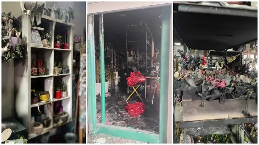 Ustanička'da öğrencileri destekleyen çiçekçi dükkanına baltalı ve Molotoflu saldırı düzenlendi