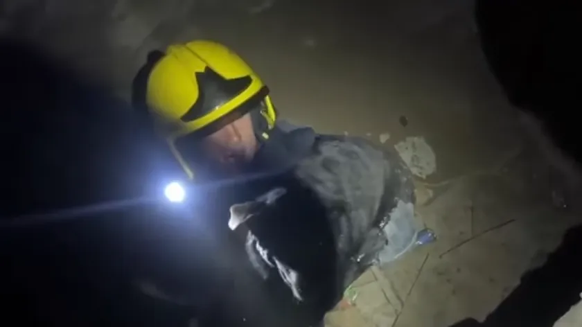 Sırbistan'da Novi Sad İtfaiyesi Petrovaradin Kalesi Katakomplarından Köpek Kurtardı