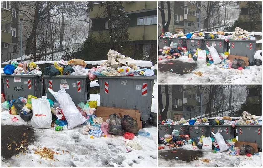 Rakovica'da Çöp Sorunu: Beş Gündür Konteynerler Boşaltılmadı, vatandaşlar Fare ve Hastalık Korkusu Yaşıyor