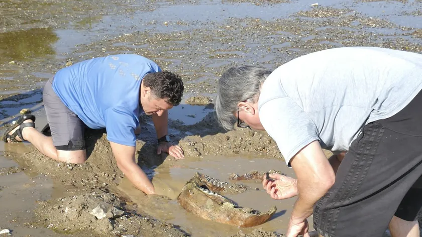 Bugarsko'da Dunav'ın çekilmesiyle antik mamut kalıntıları bulundu