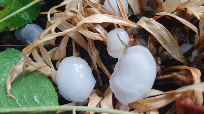 Snažno nevreme Nevesinje'yi vurguladı 5 santim büyüklüğünde dolu yağdı.