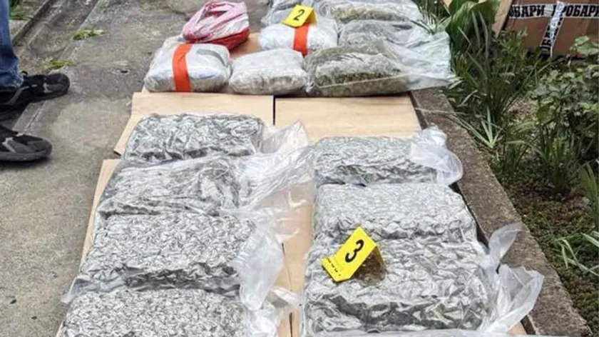 Sırbistan Kikinda'da genç bir şahıs tutuklandı, 14 kilo esrar ele geçirildi