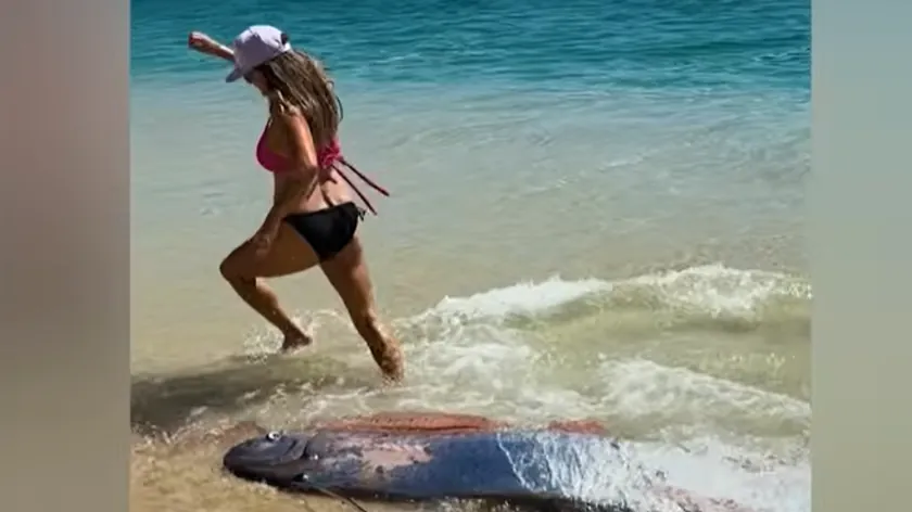 Meksika'da Lüks Tatil Beldesinde İki Kıyamet Balığı Sahile Vurduğu Açıklandı