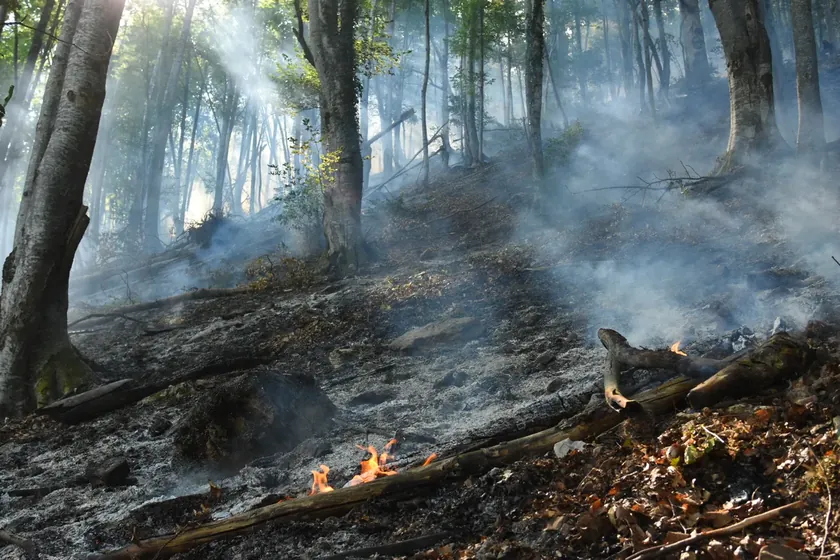Sırbistan'da Suva Planina'daki yangın, yerleşimlere doğru yayılıyor.