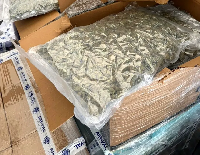 Sırbistan'da bir adamın Barajev bölgesinde yaklaşık 10 kilogram uyuşturucu taşıdığı iddia edildi.