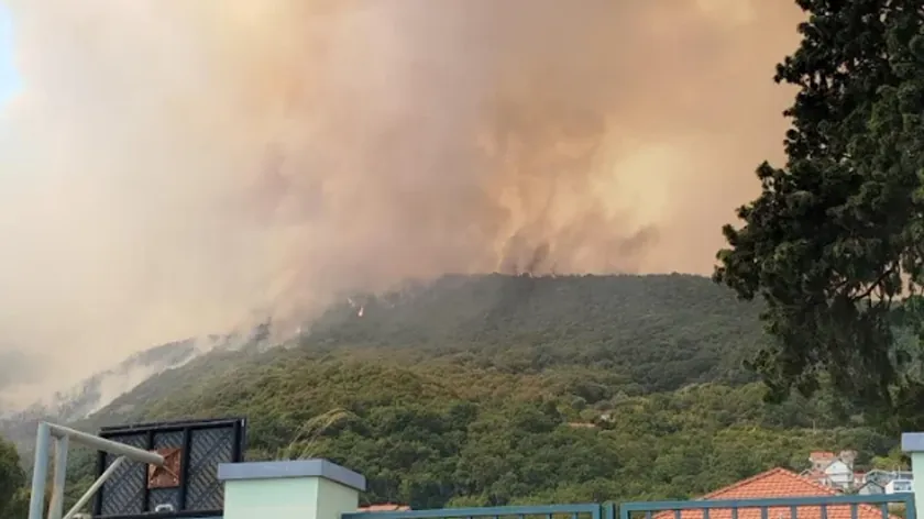 Požar Bokokotorsko Zalivinde yayılıyor.