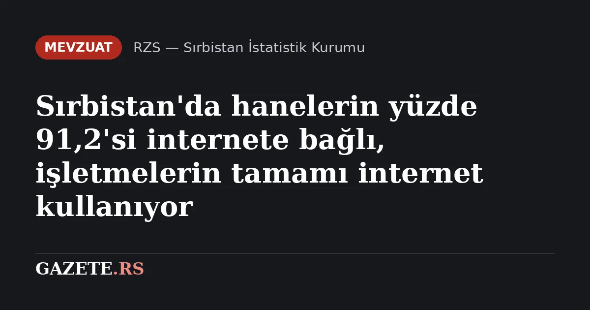 Sırbistan'da hanelerin yüzde 91,2'si internete bağlı, işletmelerin tamamı internet kullanıyor