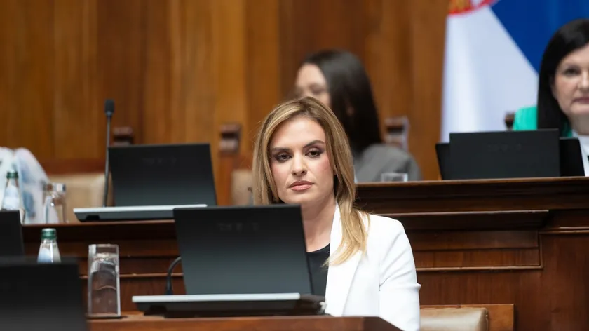 Sırbistan Bakıcı Ebeveyn Yasası Çerçevesinde 65 Bin Dinarlık Ödeme Açıklandı