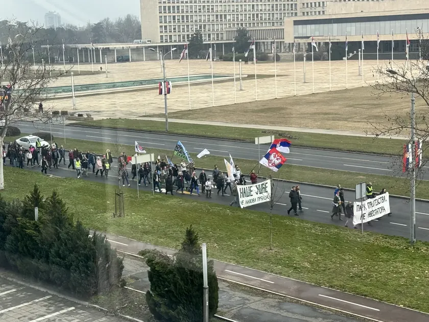 Sırbistan'da yurttaşlar yunus akvaryumu projesine karşı protesto yürüyüşü başlattı.