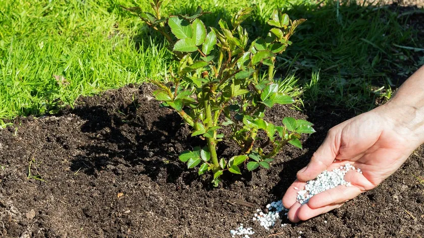 Sırbistan'da Promist şirketi 23,5 milyon dolarlık borç için hukuki süreç başlattı