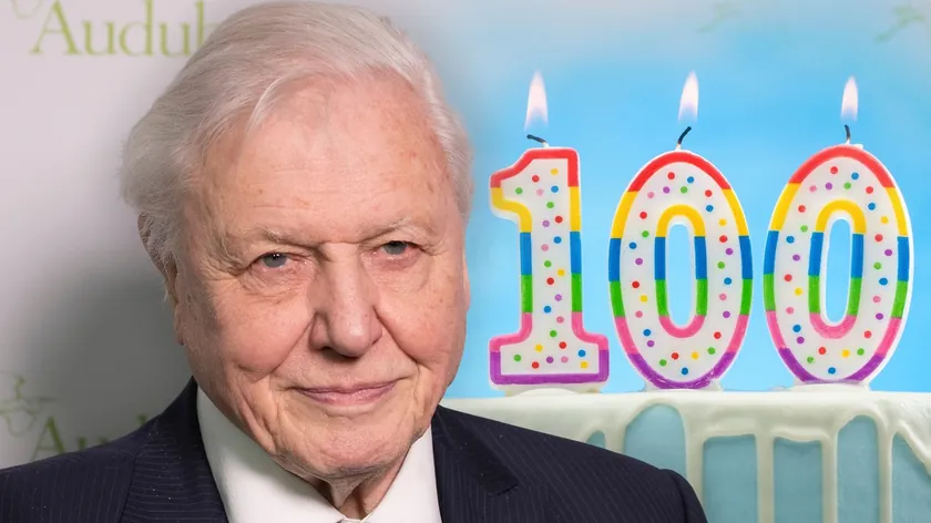 Britanyalı doğa bilimci Sir David Attenborough 100. yaş gününü kutluyor dünya genelinde büyük coşkuyla anılıyor