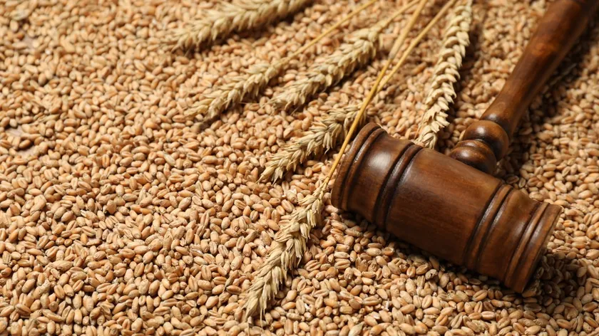 Sırbistan Emtia Borsası'nda soya fiyatları yükselişe geçti, buğday ve arpa yavaşladı