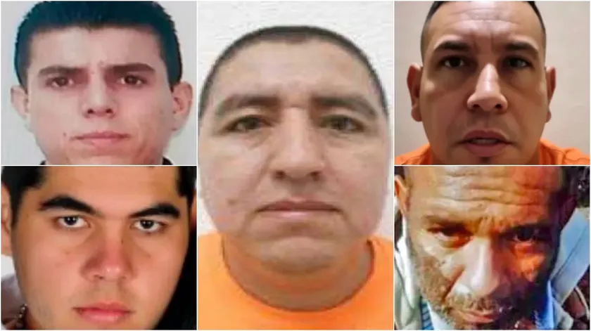 Meksika'da "El Mencho" sonrası kartel liderliği için beş isim yarışıyor