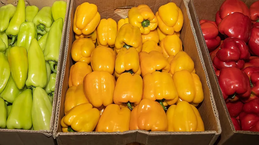 Profesyonel aşçılar dolgulu paprika seçerken bu kuraları izliyor.