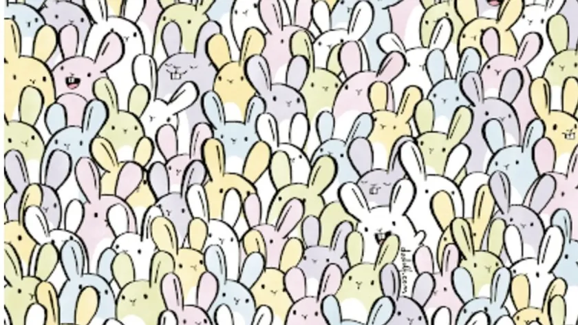 Macar sanatçı Dudolf'un Paskalya bulmacasında gizli beş yumurtayı otuz saniyede bulun