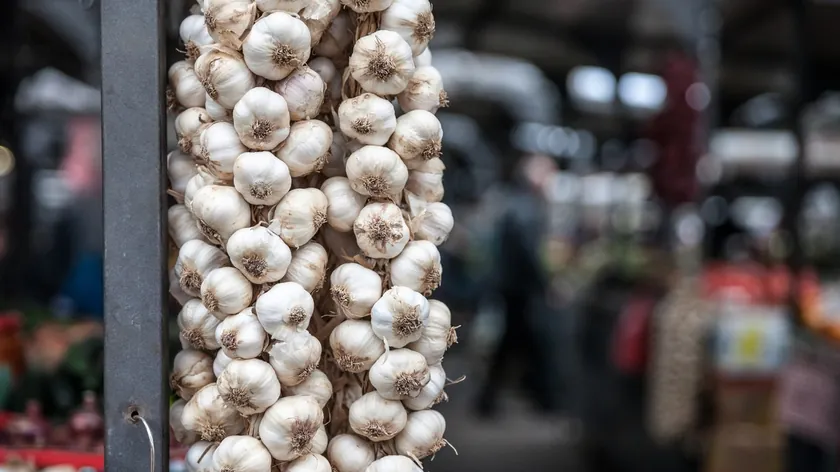 Sarımsak Saklamanın Sırları Ortaya Çıktı Uzmanlar Uzun Ömürlü Taze Tutmanın Yollarını Açıkladı