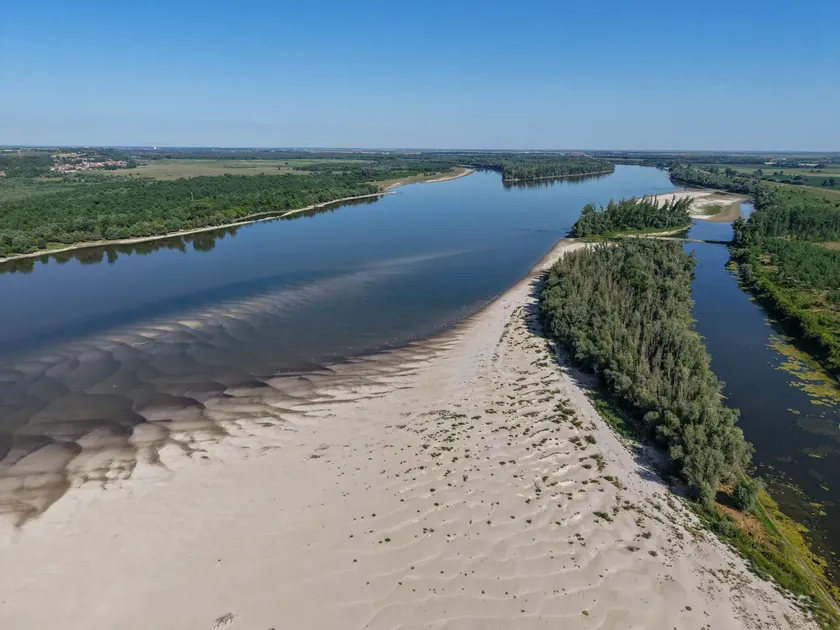 Sırbistan hükümeti, Dunav nehri suyunun azalması durumuna hazırlık yapmalıydı