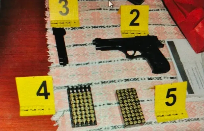 Sırbistan'da bir adam illegal silahlar ve elektrik hırsızlığıyla yakalandı