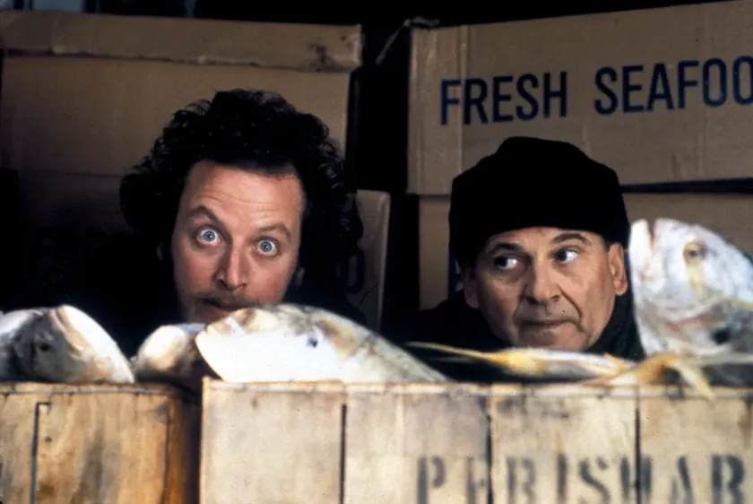 ABD Kaliforniya'da "Evde Tek Başına" yıldızına karşı fuhuş suçlaması düşürüldü.