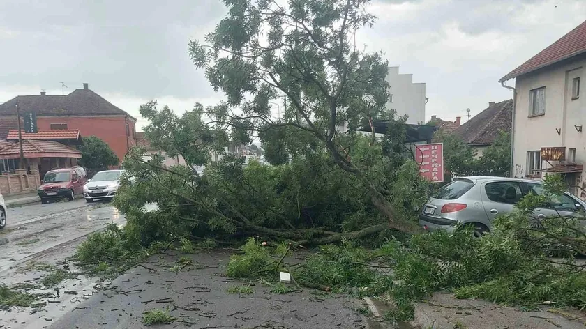 Sırbistan'ın Novi Varos yakınlarında şiddetli hava koşulları nedeniyle trafik engelleniyor.