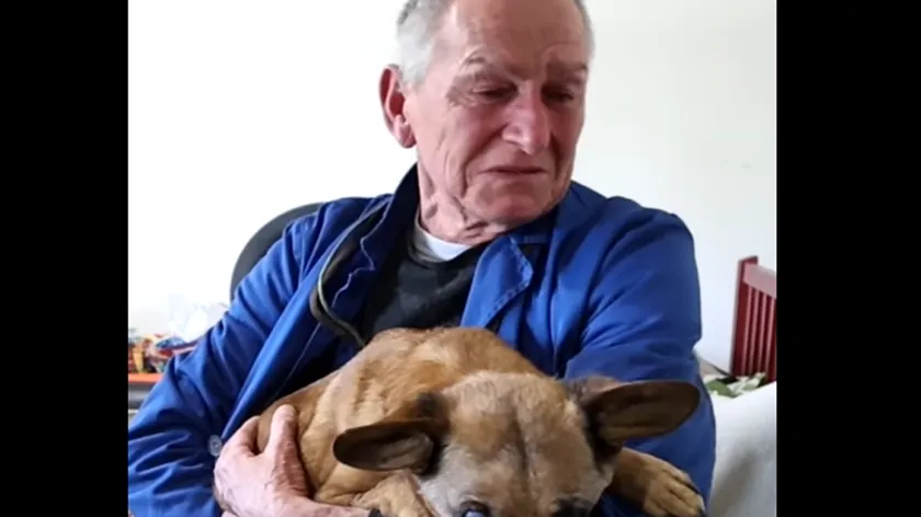 Hırvatistan'dan sosyal medyayı sallayan kare: Hasta köpeğini el arabasıyla gezdiriyor