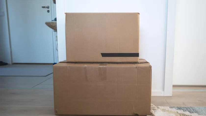 Çin'den sipariş edilen Temu paketinde canlı akrep bulunması endişeye yol açtı