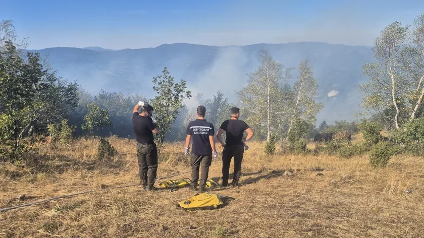 Sırbistan'da yeni bir yangın çıktı Luçanılarda alevler Tolişnica'dan Pajovske planinelerine doğru yayılıyor.