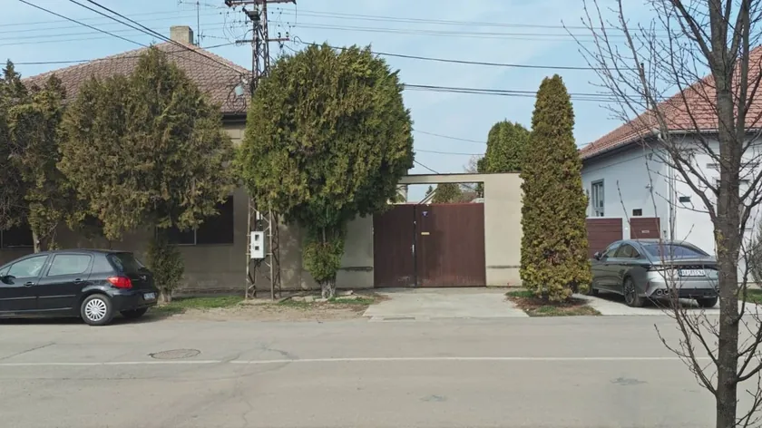 Sırbistan Senta'da öldürülen yaşlı kadının komşusu dehşeti anlattı