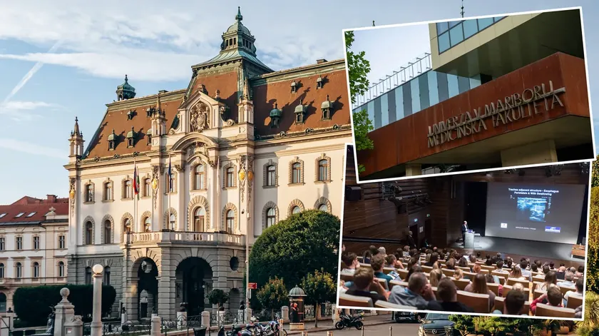Slovenya üniversitelerinde öğrenmek için gençler için harika fırsatlar var.