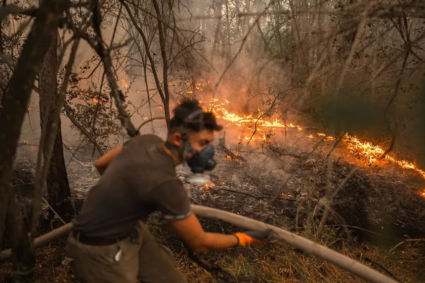 Novi Sad halkı yangın zarar görenler için yardım toplama kampanyası düzenliyor.